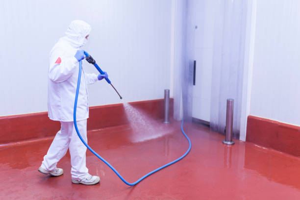 Best Paint Preparation  in Bullard, TX